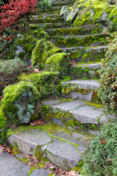 Curvy stone staricase Stock photo © bobkeenan