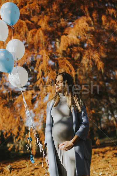 Pregnant woman walks in autumn park with balloons in hand Stock photo © boggy