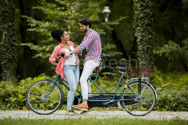 Paardrijden tandem fiets boom man Stockfoto © boggy