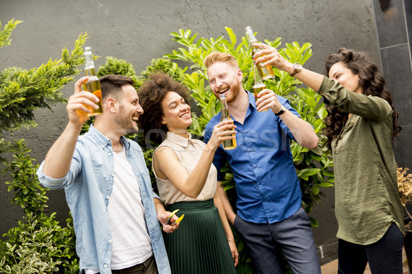Friends having outdoor garden party toast with alcoholic cider d Stock photo © boggy
