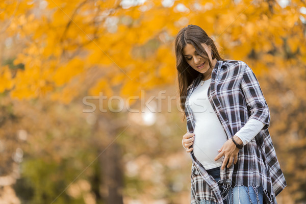 Foto d'archivio: Giovani · donna · incinta · autunno · parco · albero · faccia