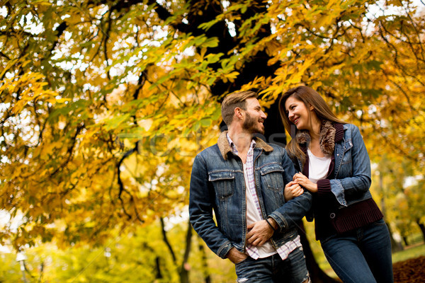 Loving couple in the autumn park Stock photo © boggy