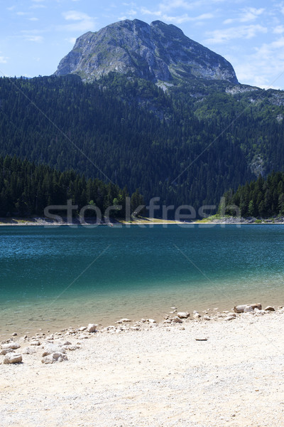 Black Lake on Durmitor mountain in Montenegro Stock photo © boggy