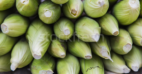 Corn cob and green leaves Stock photo © boggy