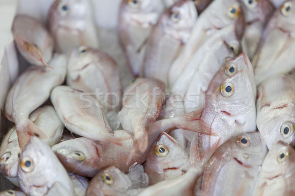 Fresh seafood Stock photo © boggy