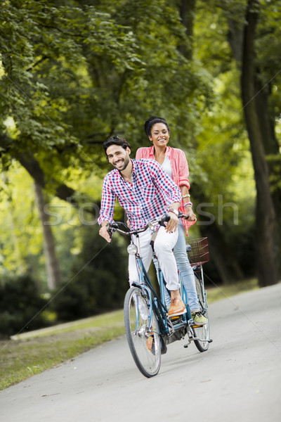 Paardrijden tandem fiets boom man Stockfoto © boggy