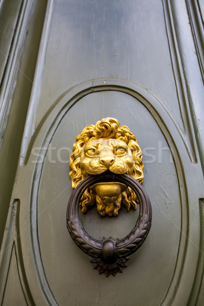 Bonze door knob Lion head Stock photo © boggy