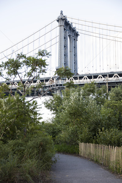 Manhattan Bridge in New York City, USA Stock photo © boggy