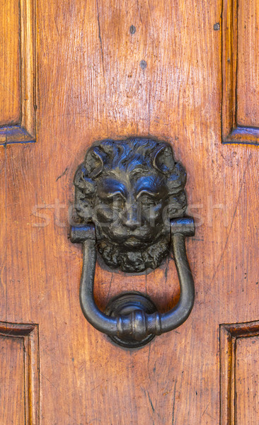 Detail of the vintage door knocker Stock photo © boggy