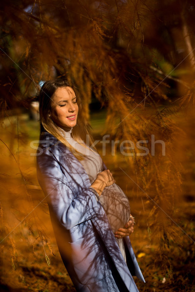 Stockfoto: Jonge · zwangere · vrouw · najaar · bos · mooie