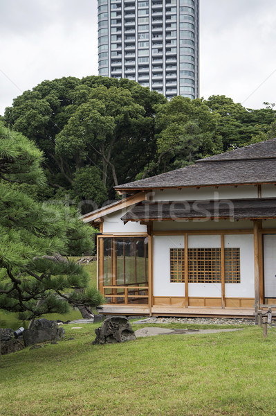 Grădini Tokyo Japonia detaliu oraş natură Imagine de stoc © boggy