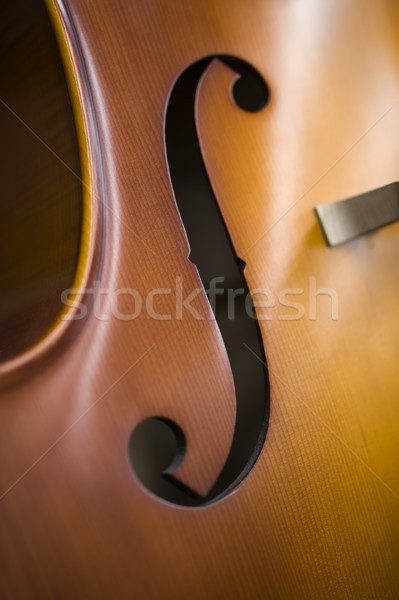 Upright bass Stock photo © boggy