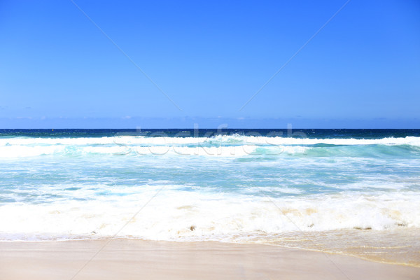 Plaży Sydney Australia widoku charakter morza Zdjęcia stock © boggy
