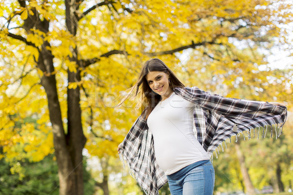 Genç hamile kadın sonbahar park ağaç yüz Stok fotoğraf © boggy