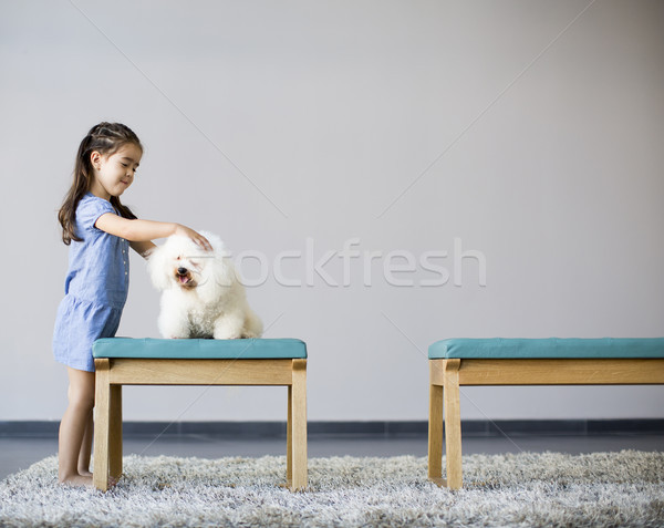 Little girl playing with white poodle in the room Stock photo © boggy
