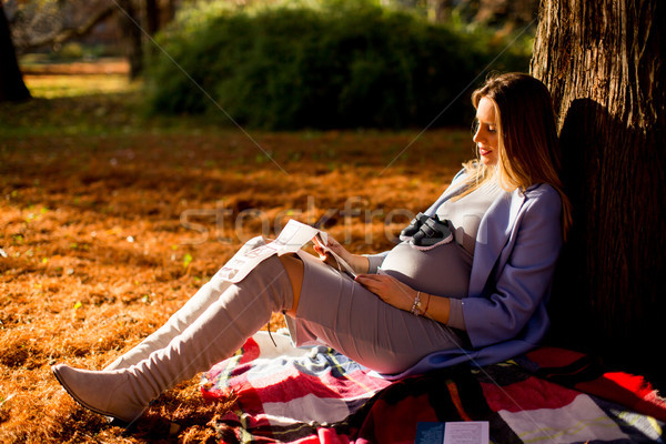 Fiatal terhes nő ül fa ősz park Stock fotó © boggy