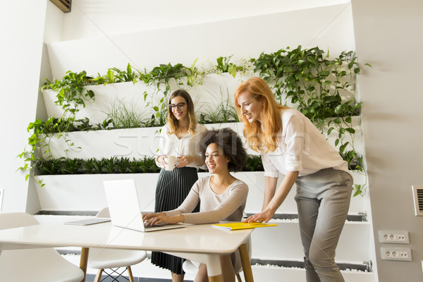 Three young businesswomen in the office Stock photo © boggy