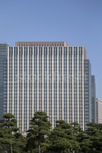 Beautiful green park garden with city view inTokyo, Japan Stock photo © boggy