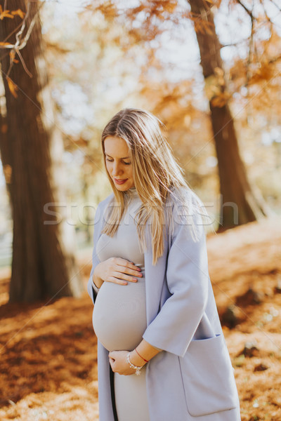 Stockfoto: Mooie · zwangere · vrouw · buitenshuis · baby · gelukkig · zwangerschap