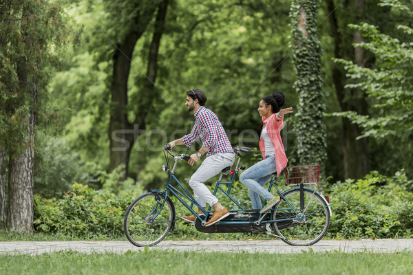 Paardrijden tandem fiets boom man Stockfoto © boggy