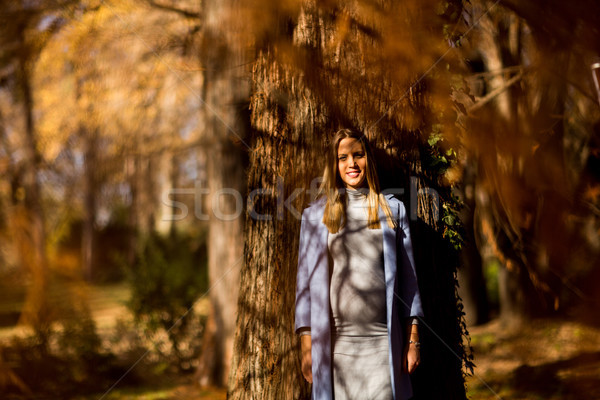 Young pregnant woman posing in autumn park Stock photo © boggy