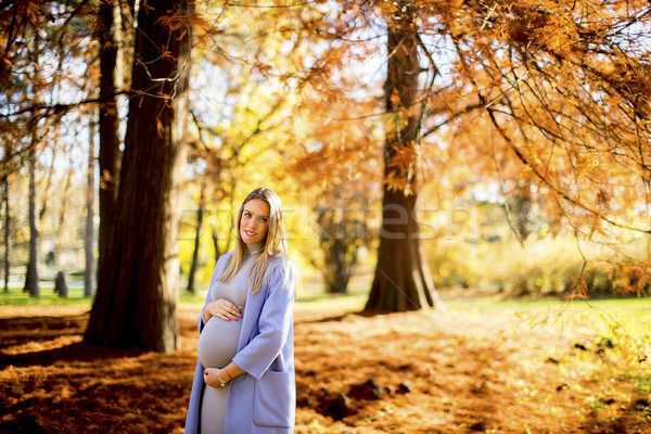 Foto stock: Jóvenes · mujer · embarazada · otono · forestales · bastante