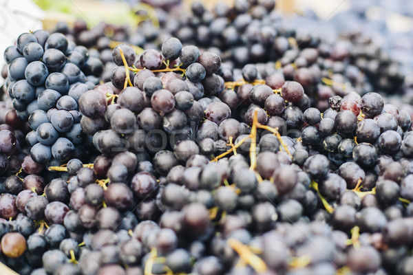 Fresh grapes on the market Stock photo © boggy