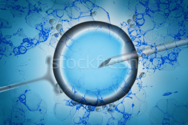 Assisted reproductive technology in fertility treatment Stock photo © boggy