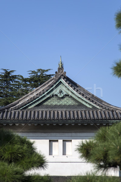 守衛 塔 東京 宮殿 日本 建設 商業照片 © boggy