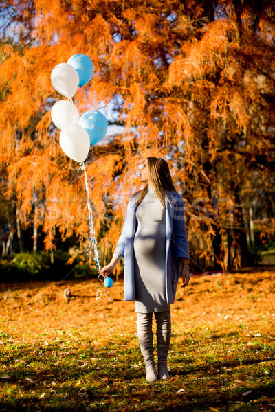 Foto stock: Jóvenes · mujer · embarazada · otono · parque · globos · mano