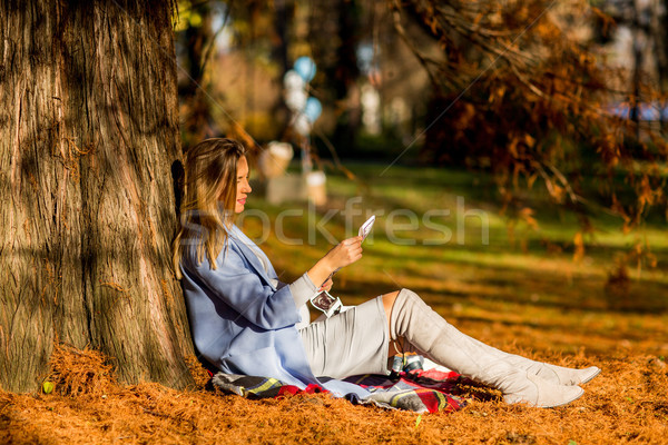 妊婦 座って 秋 公園 小さな ツリー ストックフォト © boggy