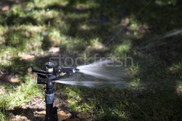 Wasser Sprinkler Garten Ansicht Sommer Anlage Stock foto © boggy