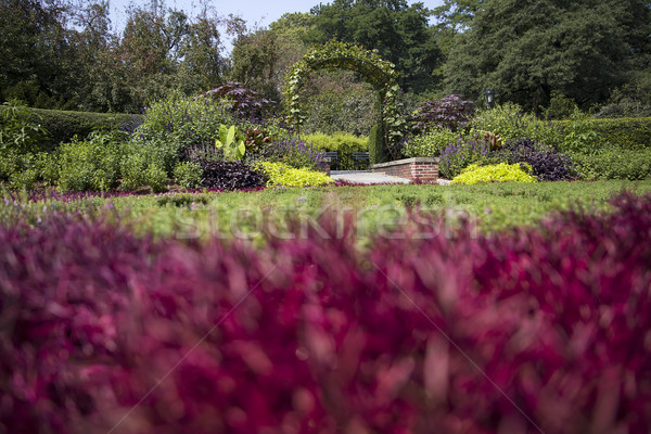 Stockfoto: Central · Park · New · York · Verenigde · Staten · stad · natuur · bomen