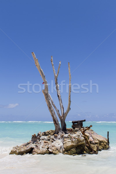 Caribbean sea Stock photo © boggy