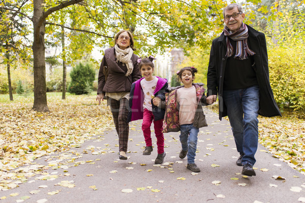 Dedesi torunlar sonbahar park mutlu yürüyüş Stok fotoğraf © boggy