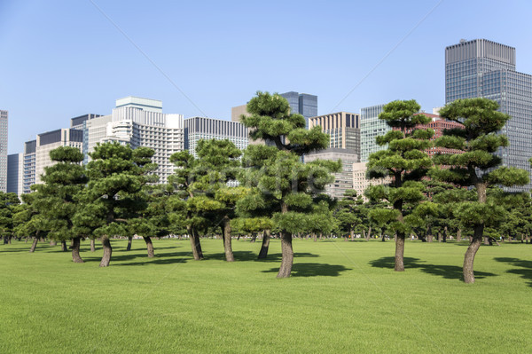 Beautiful green park garden with city view inTokyo, Japan Stock photo © boggy