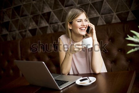 Nő szabadúszó dolgozik laptop kávézó iszik Stock fotó © boggy
