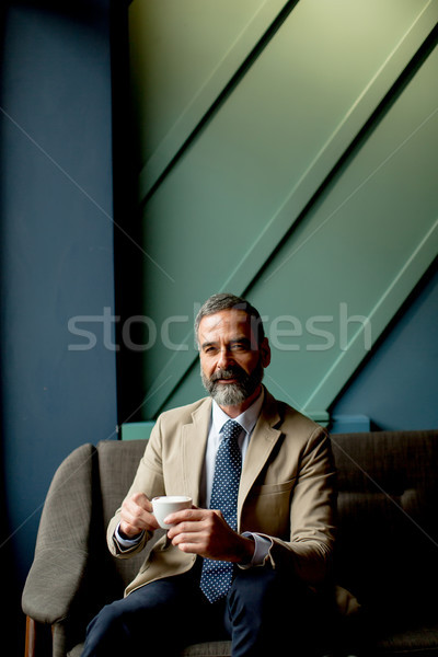 ハンサム エレガントな 深刻 ビジネスマン 座って アームチェア ストックフォト © boggy
