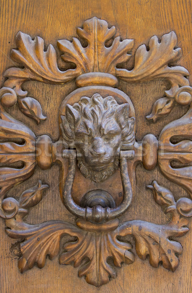 Detail of the vintage door knocker Stock photo © boggy