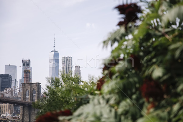 New York City Ansicht Wolkenkratzer USA Himmel Büro Stock foto © boggy