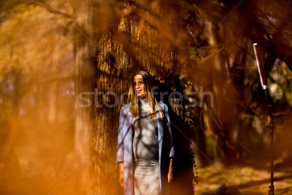 Stockfoto: Jonge · zwangere · vrouw · poseren · najaar · park