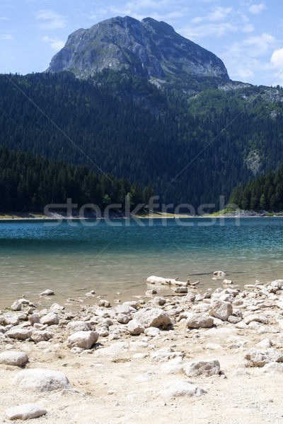 Black Lake on Durmitor mountain in Montenegro Stock photo © boggy