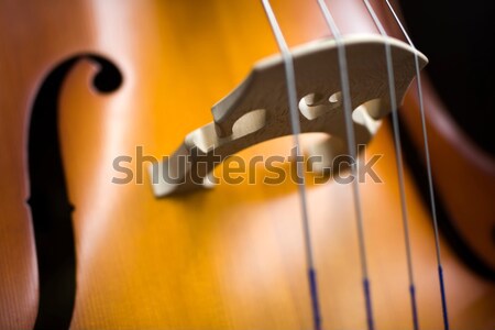 Upright bass Stock photo © boggy