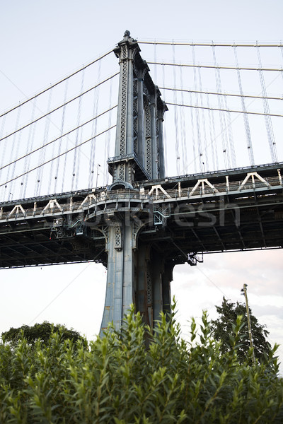 Manhattan Bridge in New York City, USA Stock photo © boggy