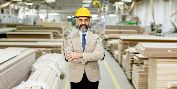 Portrait of handsome businessman in suit with helmet in a wareho Stock photo © boggy
