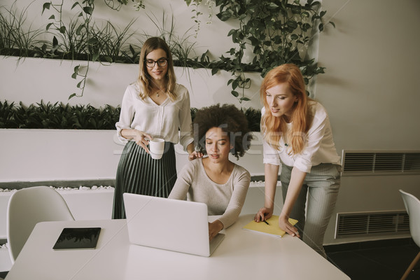 Cheerful professional multiracial women working in modern office Stock photo © boggy