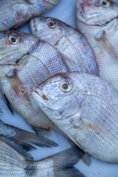 Fresh fish Stock photo © boggy