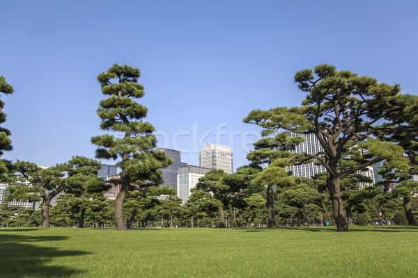 Frumos verde parc grădină Japonia Imagine de stoc © boggy