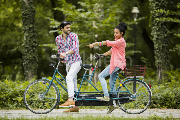 Equitazione tandem bicicletta albero uomo Foto d'archivio © boggy