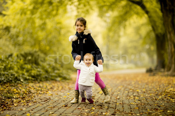 Dois meninas irmãs outono parque família Foto stock © boggy